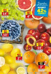 Gazetka promocyjna Twoj Market - Gazetka - ważna od 11.02 do 11.02.2025 - strona 33 - produkty: Grejpfrut