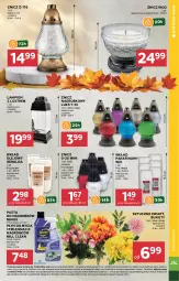 Gazetka promocyjna Stokrotka - Supermarket - Gazetka - ważna od 29.10 do 29.10.2025 - strona 39 - produkty: Warzywa, Lampion, Bukiet, Znicz, Owoce, Płyn do mycia, Olej, Mięso, Wkład olejowy