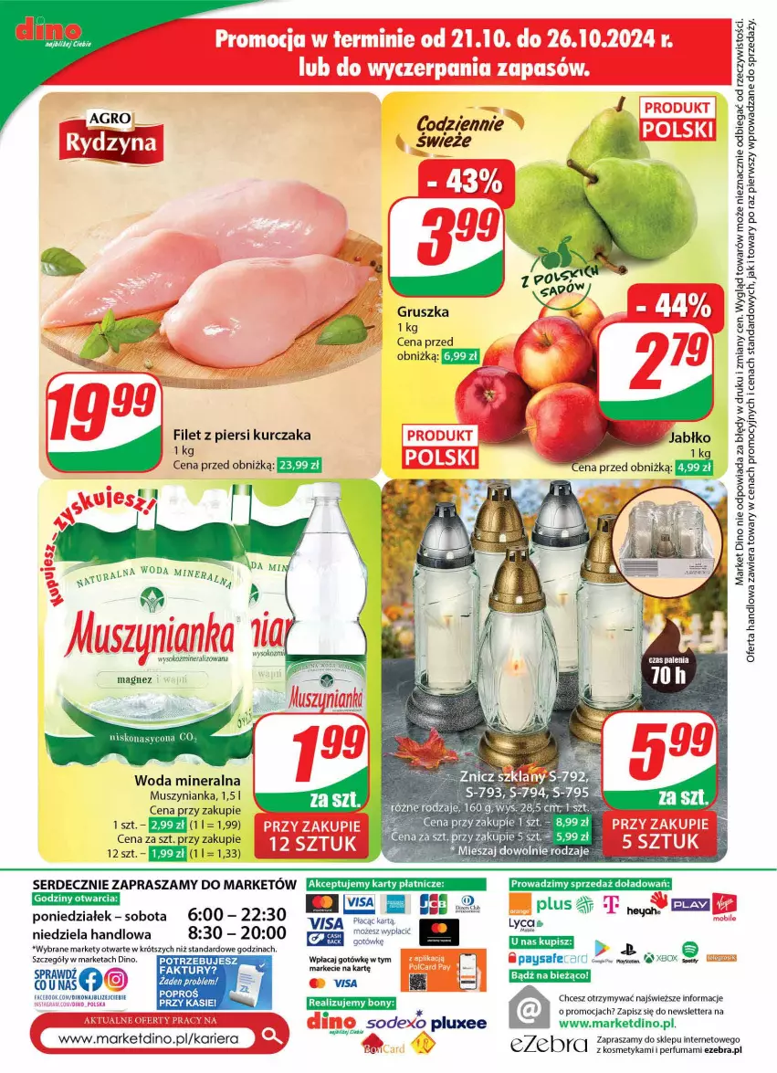 Gazetka promocyjna Dino - Gazetka 43 / 2024 - ważna 23.10 do 29.10.2024 - strona 74 - produkty: Fa, Filet z piersi kurczaka, JBL, Kurczak, Magnez, Mobil, Mus, Muszynianka, Perfum, Ser, Sok, Tera, Woda, Woda mineralna