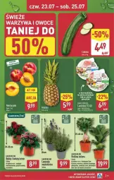 Gazetka promocyjna Aldi - Pełna oferta - Gazetka - ważna od 25.07 do 25.07.2026 - strona 35 - produkty: Kurczak, Warzywa, Koc, Owoce