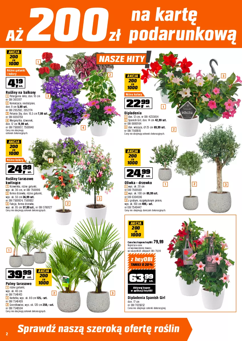 Gazetka promocyjna Obi - Gazetka OBI - ważna 22.04 do 05.05.2026 - strona 2 - produkty: Dzwonek, Inka, Laur, Ogród, Sok