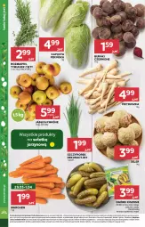 Gazetka promocyjna Stokrotka - Supermarket - Gazetka - ważna od 01.04 do 01.04.2026 - strona 10 - produkty: Warzywa, Gin, Pietruszka, Sałat, Optima, Buraki, Owoce, Mięso, Jabłka