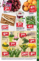 Gazetka promocyjna Stokrotka - Supermarket - Gazetka - ważna od 01.04 do 01.04.2026 - strona 11 - produkty: Chrzan, Warzywa, Tulipan, Rzeżucha, Optima, Buraki, Bukiet, Owoce, Mięso, Grejpfrut, Szpinak