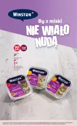 Gazetka promocyjna Rossmann - 4 października - Gazetka - ważna od 17.10 do 17.10.2025 - strona 2 - produkty: Por, Koc, Winston