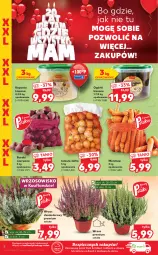 Gazetka promocyjna Kaufland - OFERTA TYGODNIA - Gazetka - ważna od 15.09 do 15.09.2021 - strona 8 - produkty: Piec, Cebula, Buraki