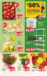 Gazetka promocyjna Kaufland - OFERTA TYGODNIA - Gazetka - ważna od 15.09 do 15.09.2021 - strona 9 - produkty: Gra, Seler korzeń, Chryzantema, Cynk, Ziemniaki, Pojemnik, Regał, Gruszki, Bukiet, Waga, Regał metalowy, Jabłka