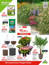 Gazetka promocyjna Leroy Merlin - Gazetka Leroy Merlin - Gazetka - ważna od 23.06 do 23.06.2022 - strona 5 - produkty: Latarnia, Top, Ser, Drabina, Inka, Papier, Rust, Tablet, Słupek, Kosz, Palma, LANA, Silan, Dozownik, Lampa, Nawóz, Pokrywa, Lampa wisząca