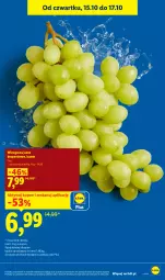Gazetka promocyjna Lidl - Gazetka - Gazetka - ważna od 17.10 do 17.10.2026 - strona 13 - produkty: Gra, Winogrona, Wino, Olej