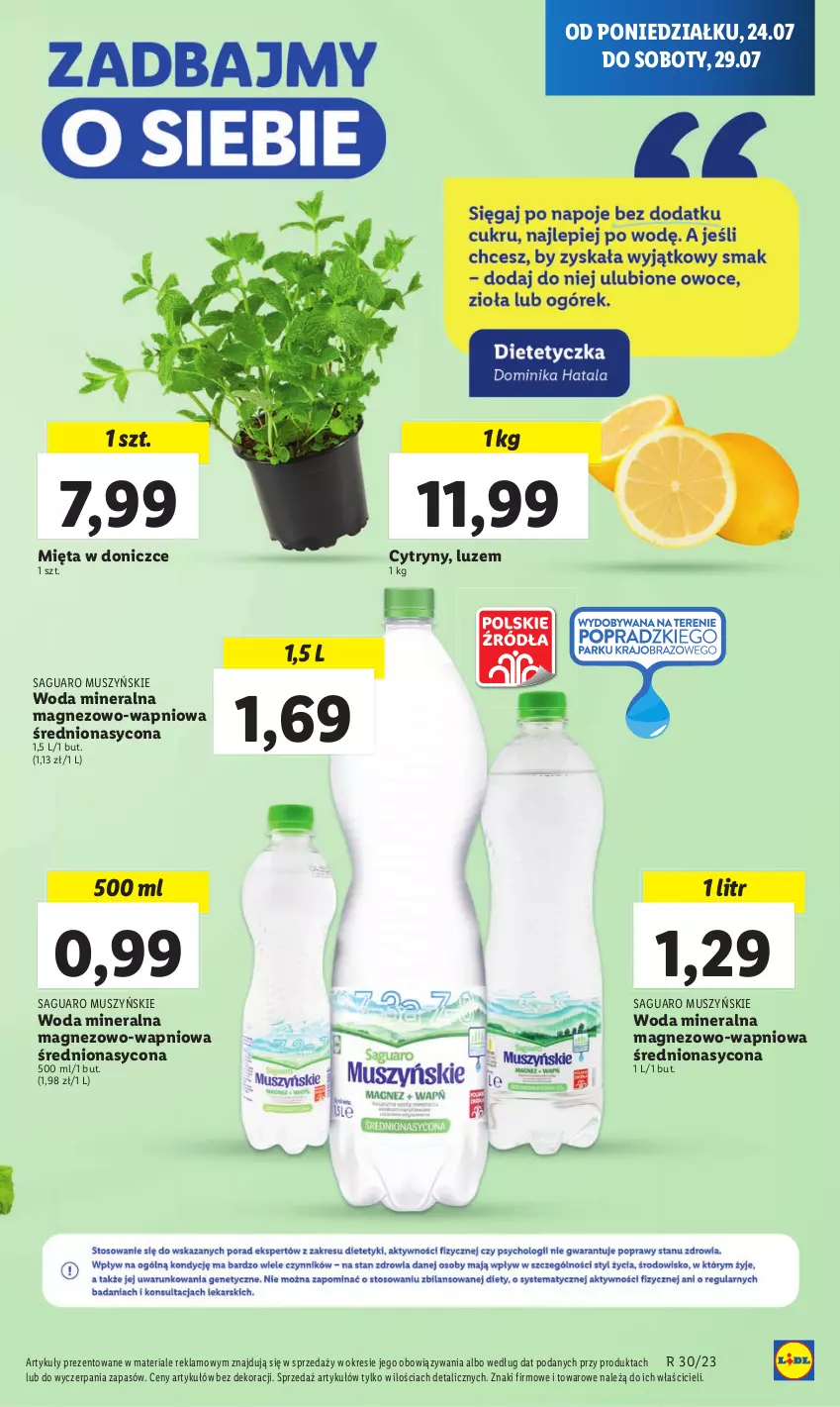 Gazetka promocyjna Lidl - GAZETKA - ważna 24.07 do 29.07.2023 - strona 29 - produkty: Cytryny, Magnez, Mięta, Mus, Woda, Woda mineralna