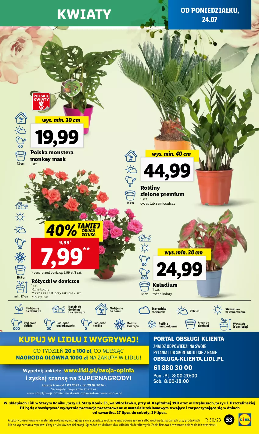 Gazetka promocyjna Lidl - GAZETKA - ważna 24.07 do 29.07.2023 - strona 67 - produkty: Cień, Gry, Mola, O nas, Por, Sok, Tera