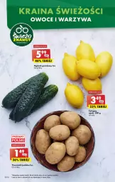 Gazetka promocyjna Biedronka - Gazetka - Biedronka.pl - Gazetka - ważna od 24.12 do 24.12.2022 - strona 12 - produkty: Warzywa, Sok, Ogórek, Ziemniaki, , Owoce, Grunt