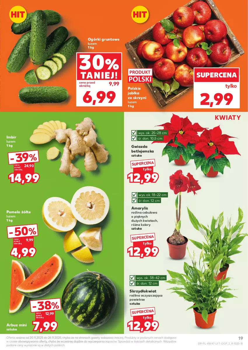 Gazetka promocyjna Kaufland - Gazetka tygodnia - ważna 20.11 do 26.11.2025 - strona 19 - produkty: Amarylis, Arbuz, Grunt, Gwiazda, Imbir, Jabłka, Pomelo