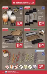 Gazetka promocyjna Aldi - Znicze i stroiki - Gazetka - ważna od 21.09 do 21.09.2026 - strona 6 - produkty: Podkładka pod znicz, Ser, Podkładka, Znicz, Podkład