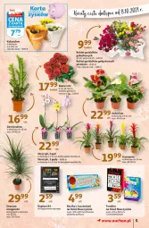 Gazetka promocyjna Auchan - Hiperoszczędzanie z kartą Skarbonka Hipermarkety - Gazetka - ważna od 13.10 do 13.10.2021 - strona 5 - produkty: Torebka, Gin, Gra, Kalanchoe, Storczyk, Bukiet