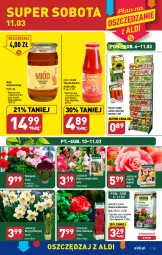 Gazetka promocyjna Aldi - Pełny katalog - Gazetka - ważna od 11.03 do 11.03.2023 - strona 25 - produkty: Hiacynt, Rust, Róża, Miód, Narcyz