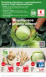 Gazetka promocyjna Kaufland - Mocny Start - Gazetka - ważna od 20.09 do 20.09.2023 - strona 7 - produkty: Piec, Pietruszka, Monitor
