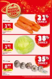 Gazetka promocyjna Auchan - Pewność Niskich Cen Hipermarket - Gazetka - ważna od 20.11 do 20.11.2024 - strona 10 - produkty: Koc, Czosnek