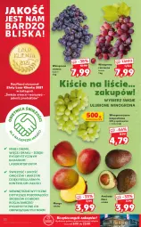 Gazetka promocyjna Kaufland - OFERTA TYGODNIA - Gazetka - ważna od 01.09 do 01.09.2021 - strona 20 - produkty: Piec, Warzywa, Tera, Laur, Winogrona, Danio, Owoce, Wino, Mango