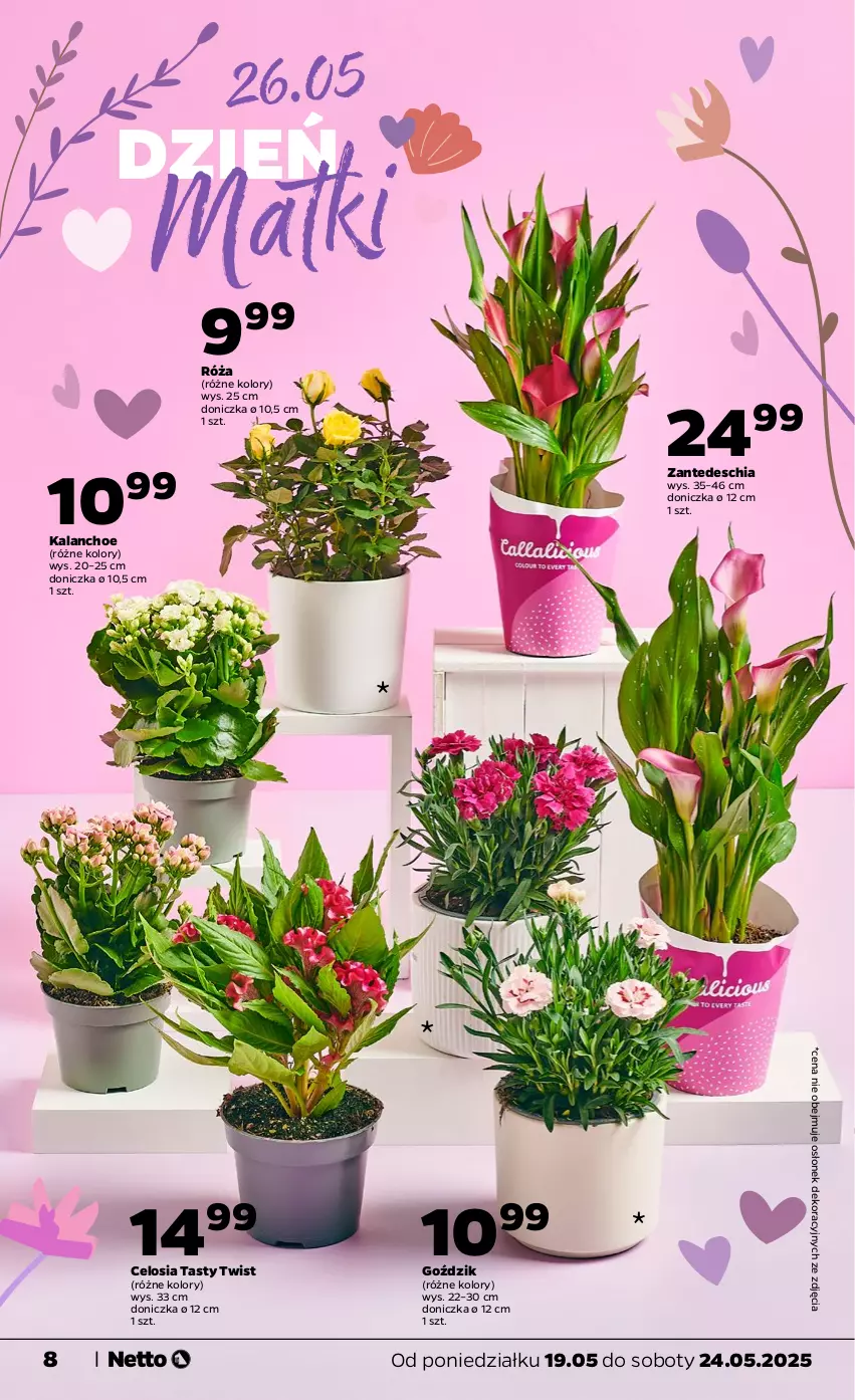 Gazetka promocyjna Netto - Od Poniedziałku - ważna 19.05 do 24.05.2025 - strona 8 - produkty: Chia, Kalanchoe, Róża