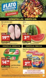 Gazetka promocyjna Delikatesy Centrum - #LATO DLA WSZYSTKICH w Delikatesach Centrum od 3 czerwca! 3-16.06.2024 - Gazetka - ważna od 16.06 do 16.06.2024 - strona 3 - produkty: Piwo, Kurczak, Ser, Rum, Filet z piersi kurczaka, Tatra, Dell, Lody, Zielona Budka, Arbuz, Orka, LG