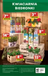 Gazetka promocyjna Biedronka - W tym tygodniu PL - Gazetka - ważna od 07.05 do 07.05.2022 - strona 56 - produkty: Gra, Telefon, Papier, Napoje, Wazon, , Wino