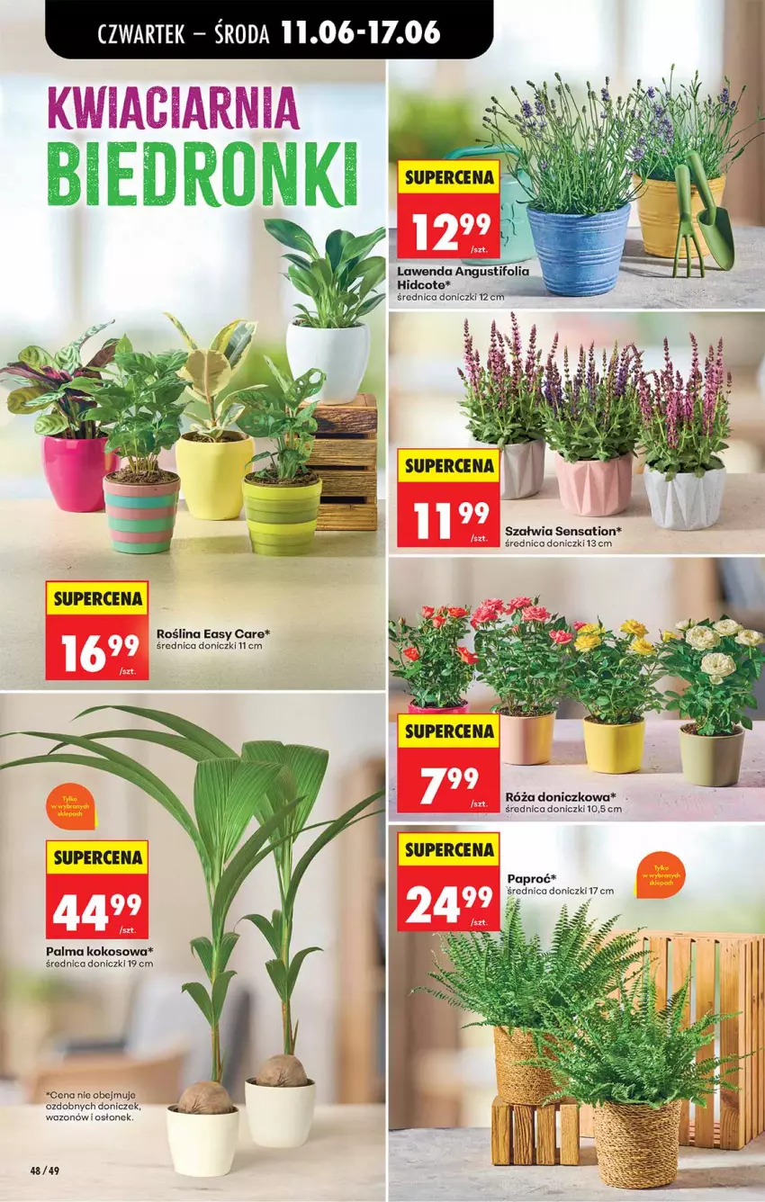 Gazetka promocyjna Biedronka - Od Czwartku - ważna 11.06 do 17.06.2026 - strona 48 - produkty: Kokos, Palma, Róża, Sati, Wazon