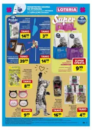 Gazetka promocyjna Carrefour - Gazetka - ważna od 05.10 do 05.10.2024 - strona 36 - produkty: Koc, Szampon, Flora, Fa