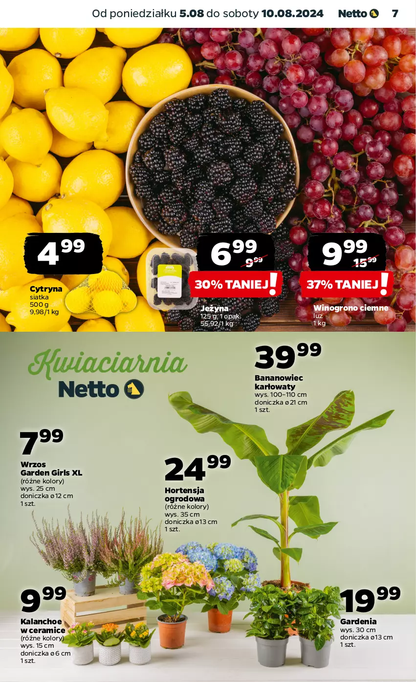 Gazetka promocyjna Netto - Od Poniedziałku - ważna 05.08 do 10.08.2024 - strona 7 - produkty: Kalanchoe, Siatka, Wino