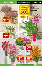 Gazetka promocyjna Biedronka - Od Poniedziałku - Gazetka - ważna od 30.08 do 30.08.2025 - strona 21 - produkty: Sok