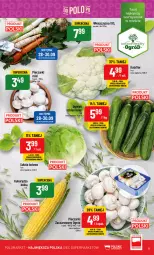 Gazetka promocyjna PoloMarket - Gazetka pomocyjna - Gazetka - ważna od 03.10 do 03.10.2023 - strona 11 - produkty: Piec, Kalafior, Sałata lodowa, Sałat, Ogród