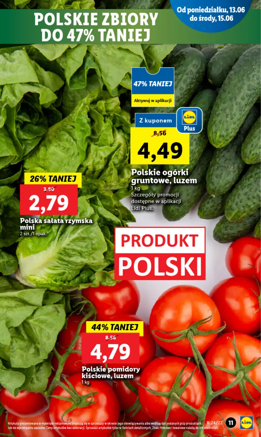 Gazetka promocyjna Lidl - GAZETKA - ważna 13.06 do 15.06.2022 - strona 11 - produkty: Fa, Grunt, Pomidory, Sałat