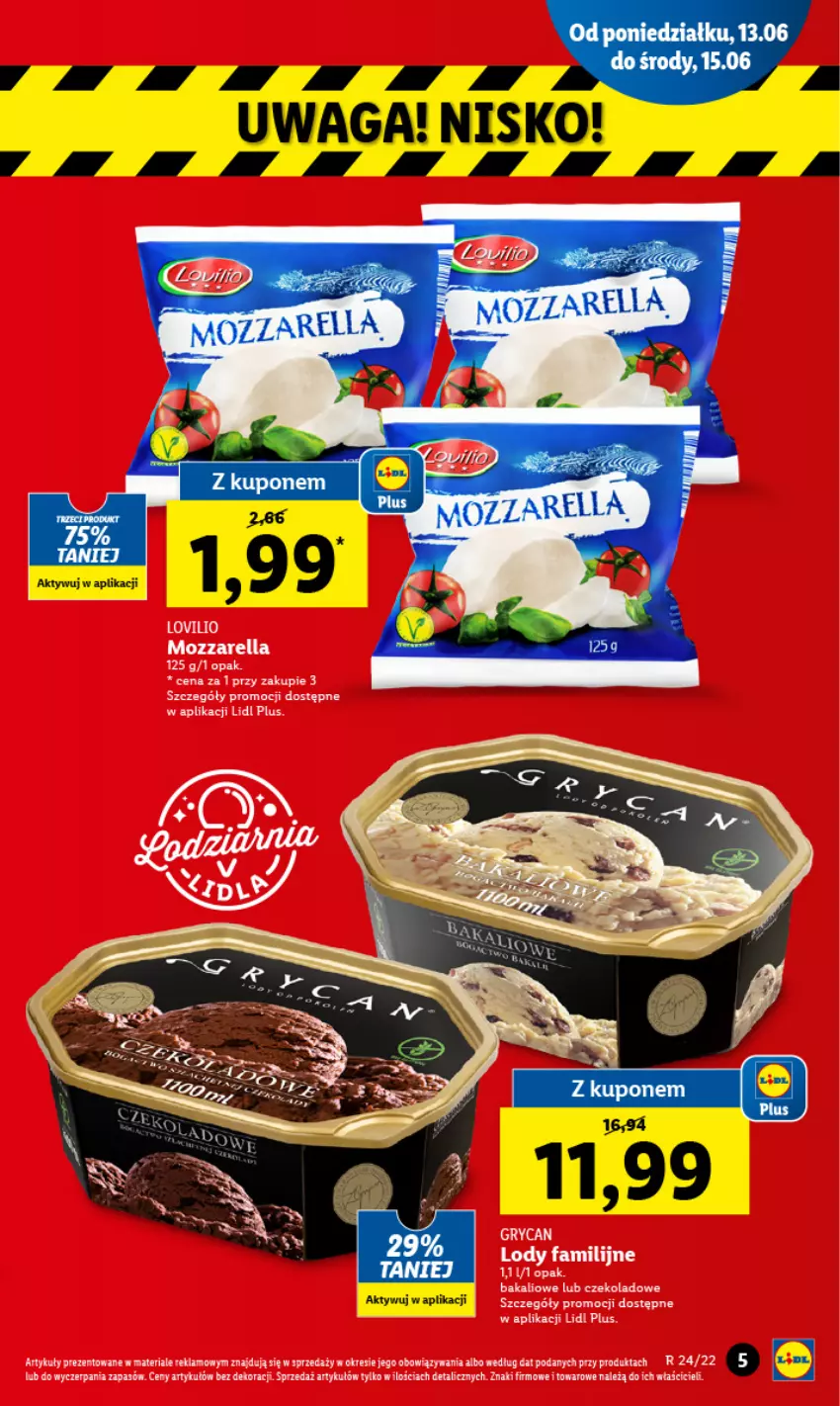 Gazetka promocyjna Lidl - GAZETKA - ważna 13.06 do 15.06.2022 - strona 5 - produkty: Mozzarella, Waga