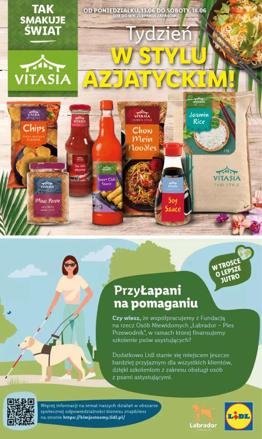 Gazetka promocyjna Lidl - GAZETKA - ważna 13.06 do 15.06.2022 - strona 64 - produkty: Przewodnik, Rama