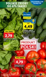 Gazetka promocyjna Lidl - GAZETKA - Gazetka - ważna od 15.06 do 15.06.2022 - strona 11 - produkty: Sałat, Grunt, Pomidory, Fa