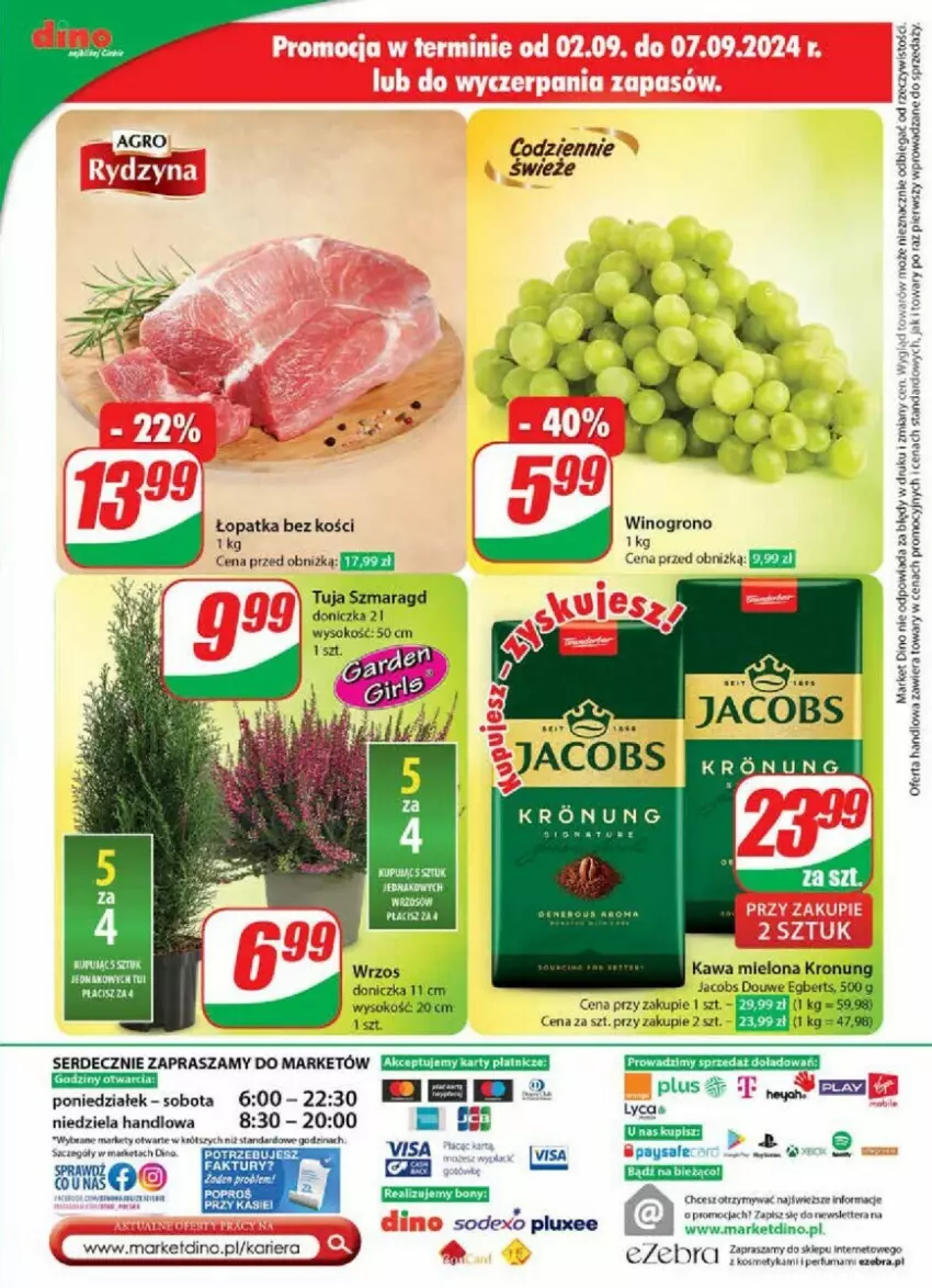 Gazetka promocyjna Dino - ważna 04.09 do 10.09.2024 - strona 63 - produkty: Fa, Jacobs, Kawa, Kawa mielona, Ser, Sok, Tera, Wino