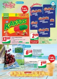 Gazetka promocyjna Dino - Gazetka - ważna od 10.09 do 10.09.2024 - strona 18 - produkty: Top, Gra, Kaktus, Kuchnia, Wafle do lodów, Stek, Wafle, Lody, Grześki, Fa