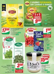 Gazetka promocyjna Dino - Gazetka - ważna od 10.09 do 10.09.2024 - strona 2 - produkty: Herbata czarna, Fusion, Lipton, Miód, Celma, Herbata