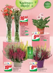 Gazetka promocyjna Dino - Gazetka - ważna od 10.09 do 10.09.2024 - strona 38 - produkty: Sok, Gerber, Bukiet