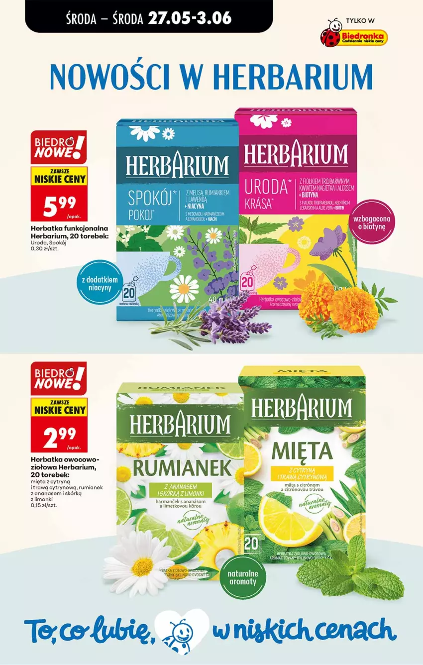 Gazetka promocyjna Biedronka - Od Środy - ważna 27.05 do 28.05.2026 - strona 64 - produkty: Ananas, Mięta, Rum