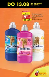 Gazetka promocyjna Biedronka - W tym tygodniu - Gazetka - ważna od 17.08 do 17.08.2022 - strona 11 - produkty: Coccolino, , Lion, Płyn do płukania, Be Be, Fa