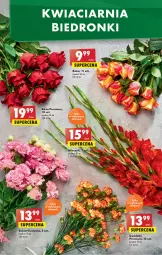 Gazetka promocyjna Biedronka - W tym tygodniu - Gazetka - ważna od 17.08 do 17.08.2022 - strona 53 - produkty: Sok, Róża, , Bukiet, Miecz, Fa