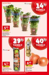 Gazetka promocyjna Auchan - Pewność Niskich Cen Hipermarket - Gazetka - ważna od 25.09 do 25.09.2024 - strona 11 - produkty: Cebula, Pietruszka, Kolendra, Baton, Bazyl, Bazylia, Mięta