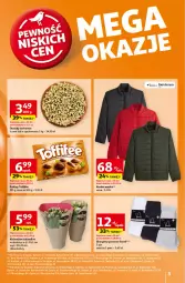 Gazetka promocyjna Auchan - Pewność Niskich Cen Hipermarket - Gazetka - ważna od 25.09 do 25.09.2024 - strona 3 - produkty: Por, Praliny, Kurtka, Karp, Kalanchoe, Sport, Toffifee