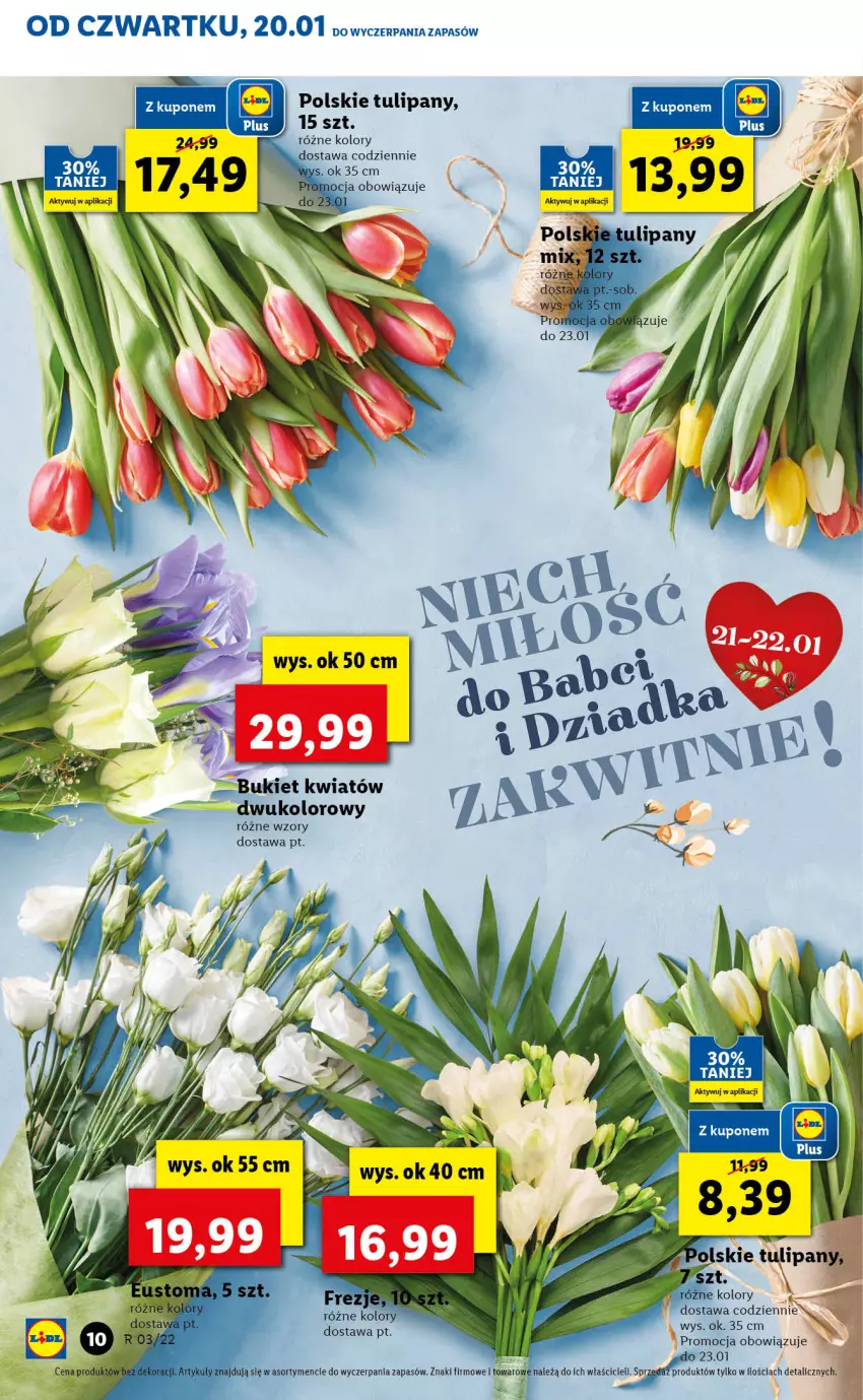 Gazetka promocyjna Lidl - GAZETKA - ważna 20.01 do 23.01.2022 - strona 10 - produkty: Tulipan