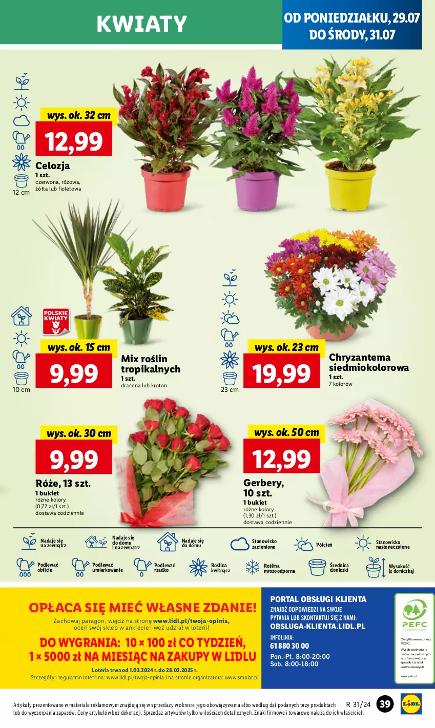 Gazetka promocyjna Lidl - GAZETKA - ważna 29.07 do 31.07.2024 - strona 46 - produkty: Bukiet, Chryzantema, Cień, Gerber, Gra, Mola, O nas, Por, Sok