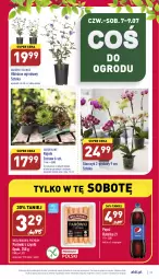 Gazetka promocyjna Aldi - Katalog spożywczy - Gazetka - ważna od 09.07 do 09.07.2022 - strona 29 - produkty: Sok, Hibiskus, Parówki, Parówki z szynki, Pepsi, Storczyk