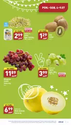 Gazetka promocyjna Aldi - Katalog spożywczy - Gazetka - ważna od 09.07 do 09.07.2022 - strona 3 - produkty: Kiwi, Kiełki, Wino, Gres, Melon