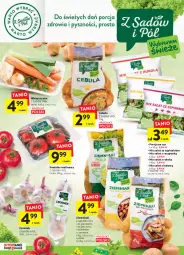 Gazetka promocyjna Intermarche - Wielkanoc - Gazetka - ważna od 16.04 do 16.04.2022 - strona 13 - produkty: Piec, Cebula, Por, Czosnek, Ziemniaki, Sałat, Pomidor malinowy, Szpinak