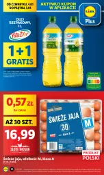 Gazetka promocyjna Lidl - GAZETKA - Gazetka - ważna od 05.01 do 05.01.2024 - strona 10 - produkty: Gra, Jaja, Wazon, Olej rzepakowy, Olej