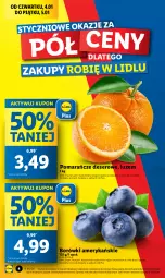 Gazetka promocyjna Lidl - GAZETKA - Gazetka - ważna od 05.01 do 05.01.2024 - strona 4 - produkty: Ser, Gra, Pomarańcze, Deser, Olej